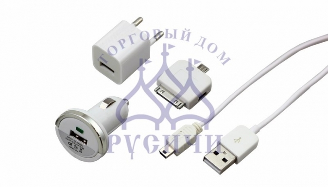 Комплект СЗУ, АЗУ, кабель miniUSB-USB, переходник microUSB (18-1197) фото 1